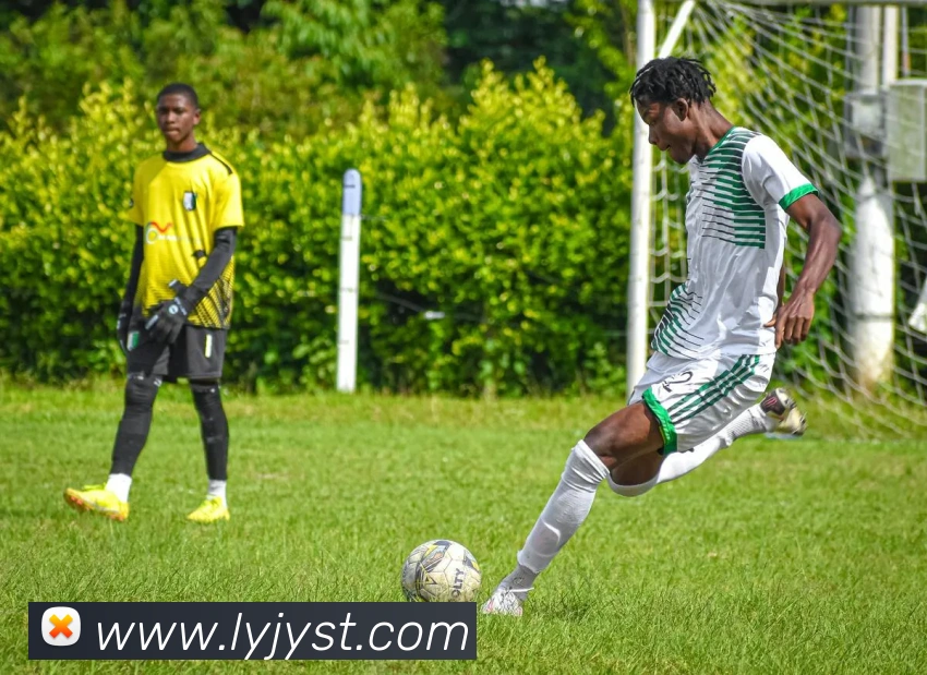 App Interface Preview